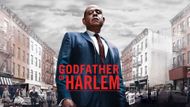 Godfather of Harlem - A crime drama like BMF | Image via Prime Video